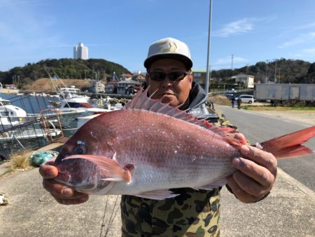 WING 釣果