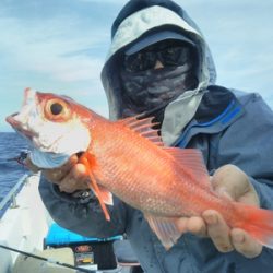 はしくに 釣果