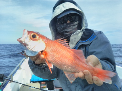 はしくに 釣果