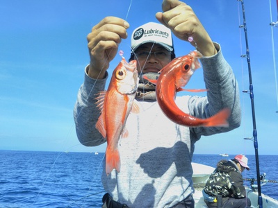 はしくに 釣果