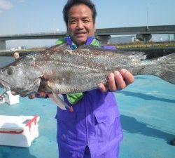 美咲丸 釣果