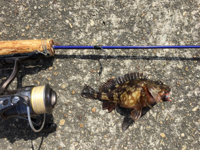 癒しの穴釣り