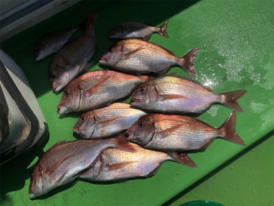 第14回九十九里魚協春の沖釣り大会