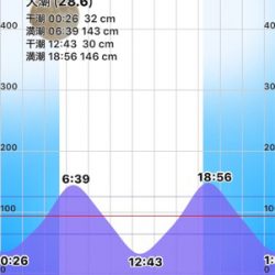 石津川シーバス