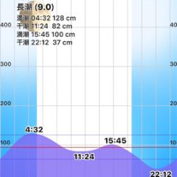 石津川シーバス