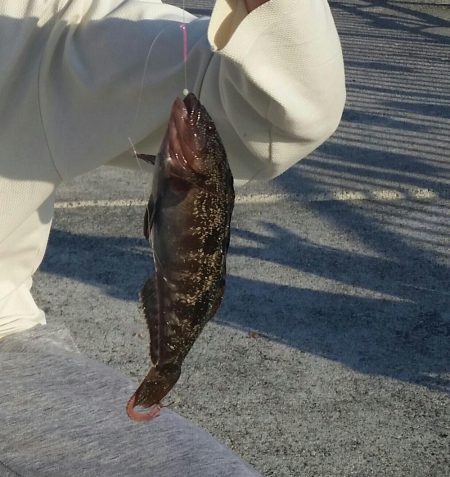 餌釣り