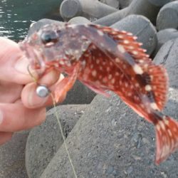 穴釣り