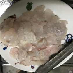 ひとり釣行(TT)