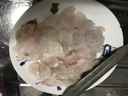 ひとり釣行(TT)