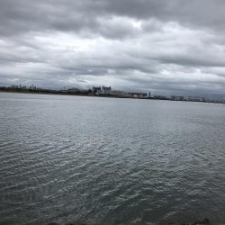 雨だけど朝練