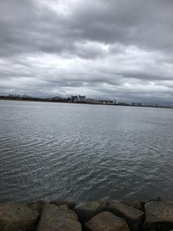 雨だけど朝練