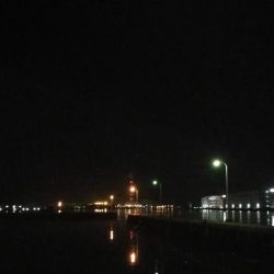 カモメ大橋からフェリーターミナル（4月後半ヘチ釣り歩き）