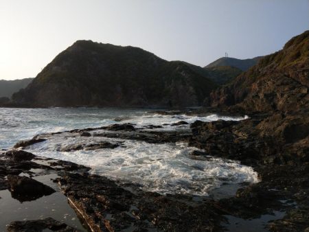 青物釣れねーなー