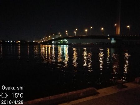 カモメ大橋（ヘチ釣りでついに今年初のキビレチヌ釣果）