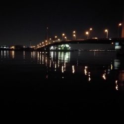 カモメ大橋 in ヘチ釣り（根魚のみ釣果）