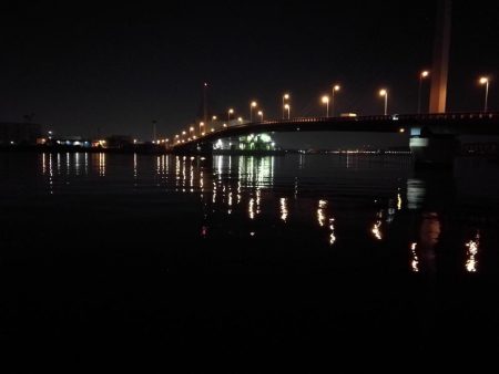 カモメ大橋 in ヘチ釣り（根魚のみ釣果）