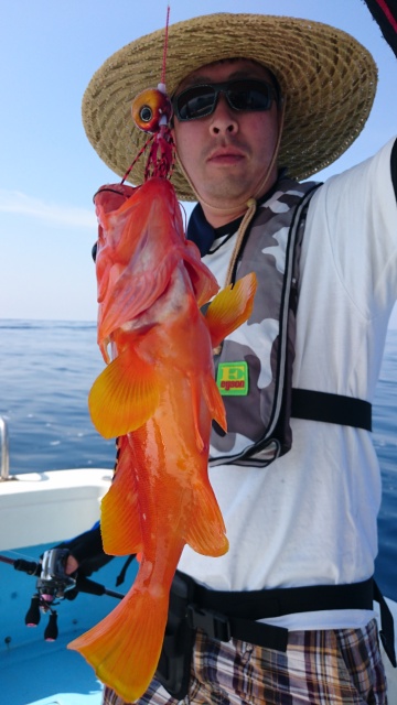 海晴丸 釣果