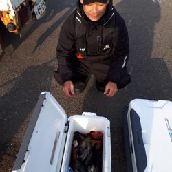 釣り船くわだ 釣果