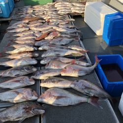 幸風（さちかぜ） 釣果