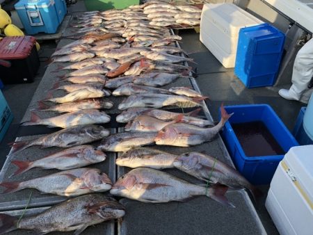 幸風（さちかぜ） 釣果