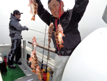 鯛紅丸 釣果