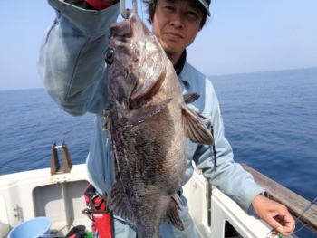 鯛紅丸 釣果