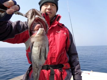 鯛紅丸 釣果