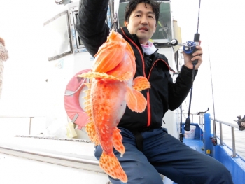 鯛紅丸 釣果