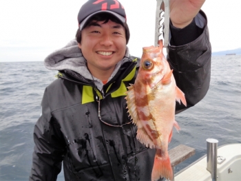 鯛紅丸 釣果