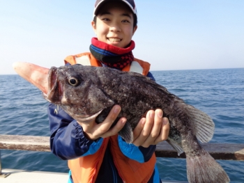 鯛紅丸 釣果