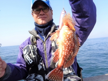 鯛紅丸 釣果