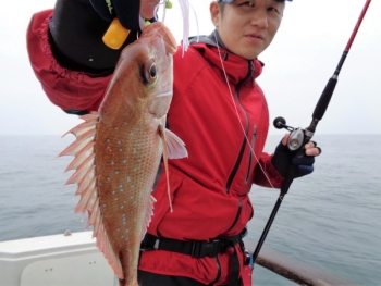 鯛紅丸 釣果