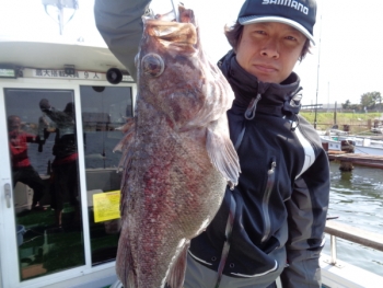 鯛紅丸 釣果