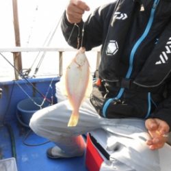 鯛紅丸 釣果