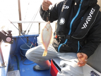 鯛紅丸 釣果