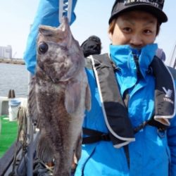 鯛紅丸 釣果