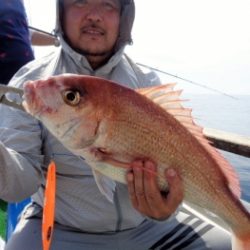 鯛紅丸 釣果