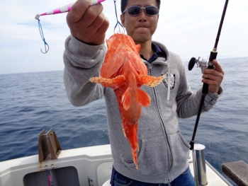 鯛紅丸 釣果