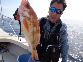 鯛紅丸 釣果