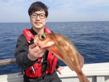 鯛紅丸 釣果