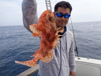 鯛紅丸 釣果