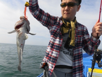 鯛紅丸 釣果