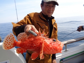 鯛紅丸 釣果