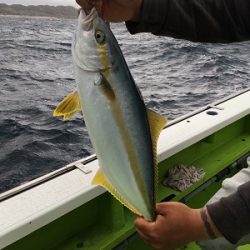 松栄丸 釣果