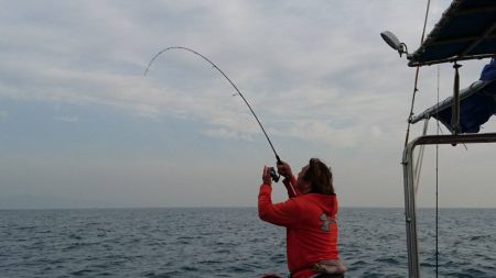 白墨丸 釣果