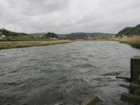 狩野川（狩野川漁業協同組合） 釣果