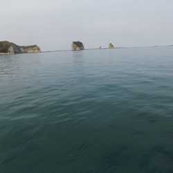 フィッシングボート空風（そらかぜ） 釣果