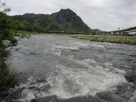 狩野川（狩野川漁業協同組合） 釣果