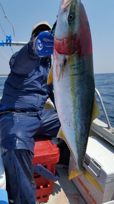 海峰 釣果