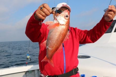 へいみつ丸 釣果